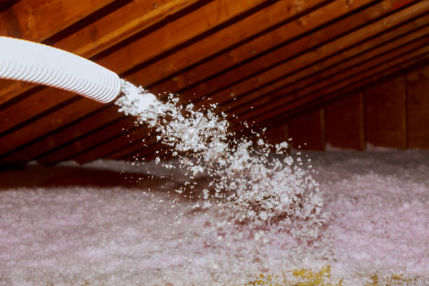Best Eco-Friendly Insulation in Key Largo, FL