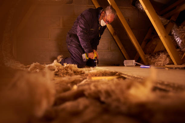 Best Energy Efficiency Insulation in Key Largo, FL